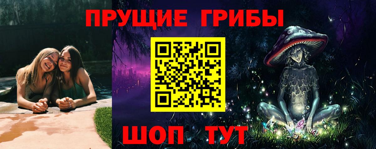 Галлюциногенные грибы Psilocybe Ейск